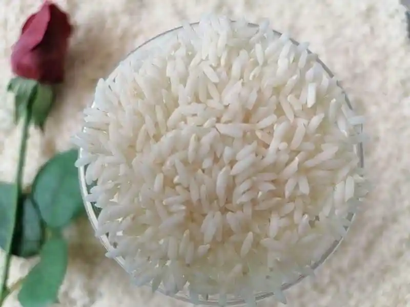 فروش برنج بهار خوشِ
