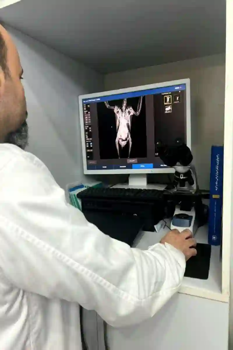 کلینیک تخصصی پرندگان پیچا