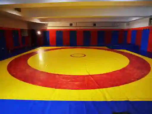 سالن کشتی توحید