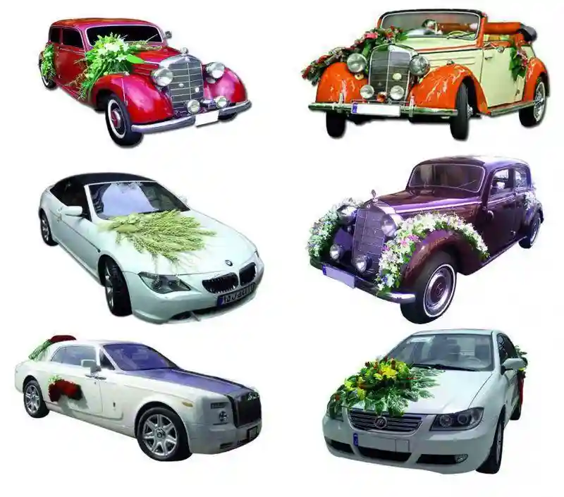  کرایه اتومبیل گل پوژان