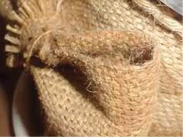 مهراس کیسه دلیجان