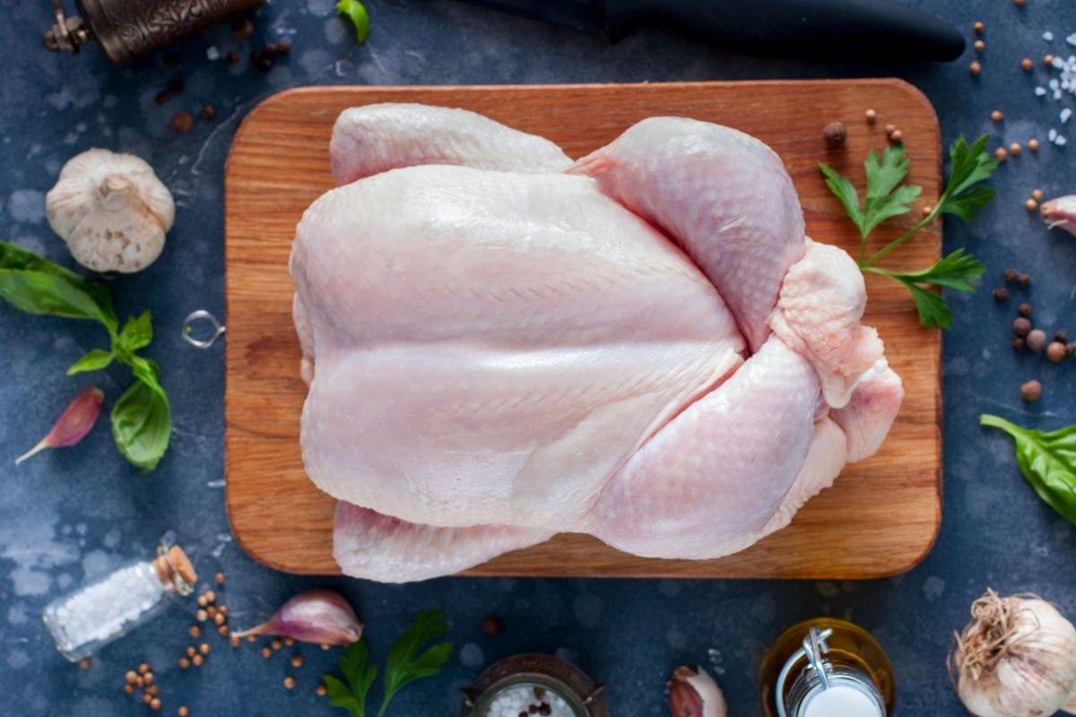 پخش گوشت بوقلمون یزدانی