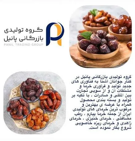 بازرگانی خرما پانیل