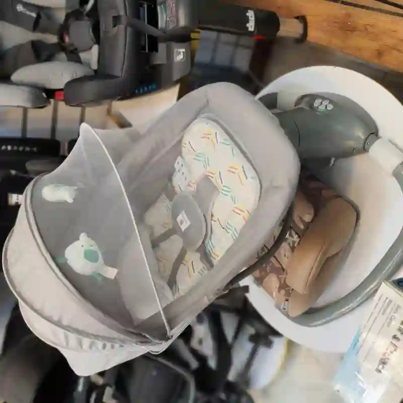 سیسمونی دلفین