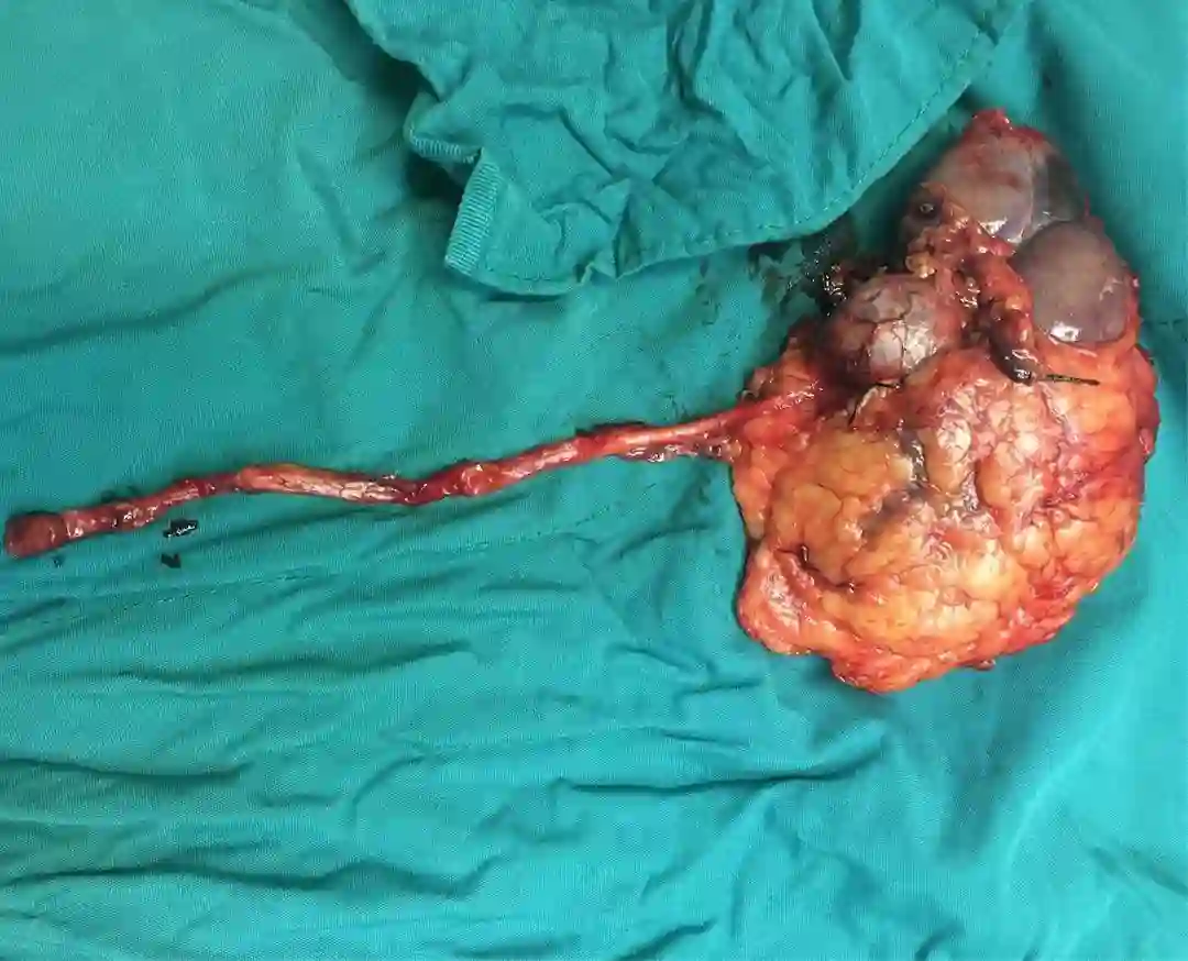 دکتر سیدیعقوب صهری