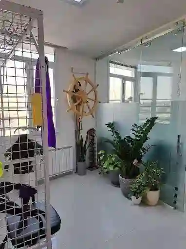 کلینیک ارتوپدی فنی آرمان شایان