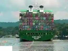 خدمات بازرگانی ،مشاور امور گمرکی ، ترخیص کالا