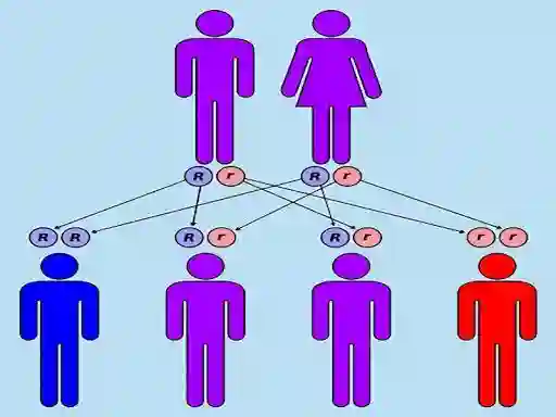 مشاوره ژنتیک دکتر حسن محبتی